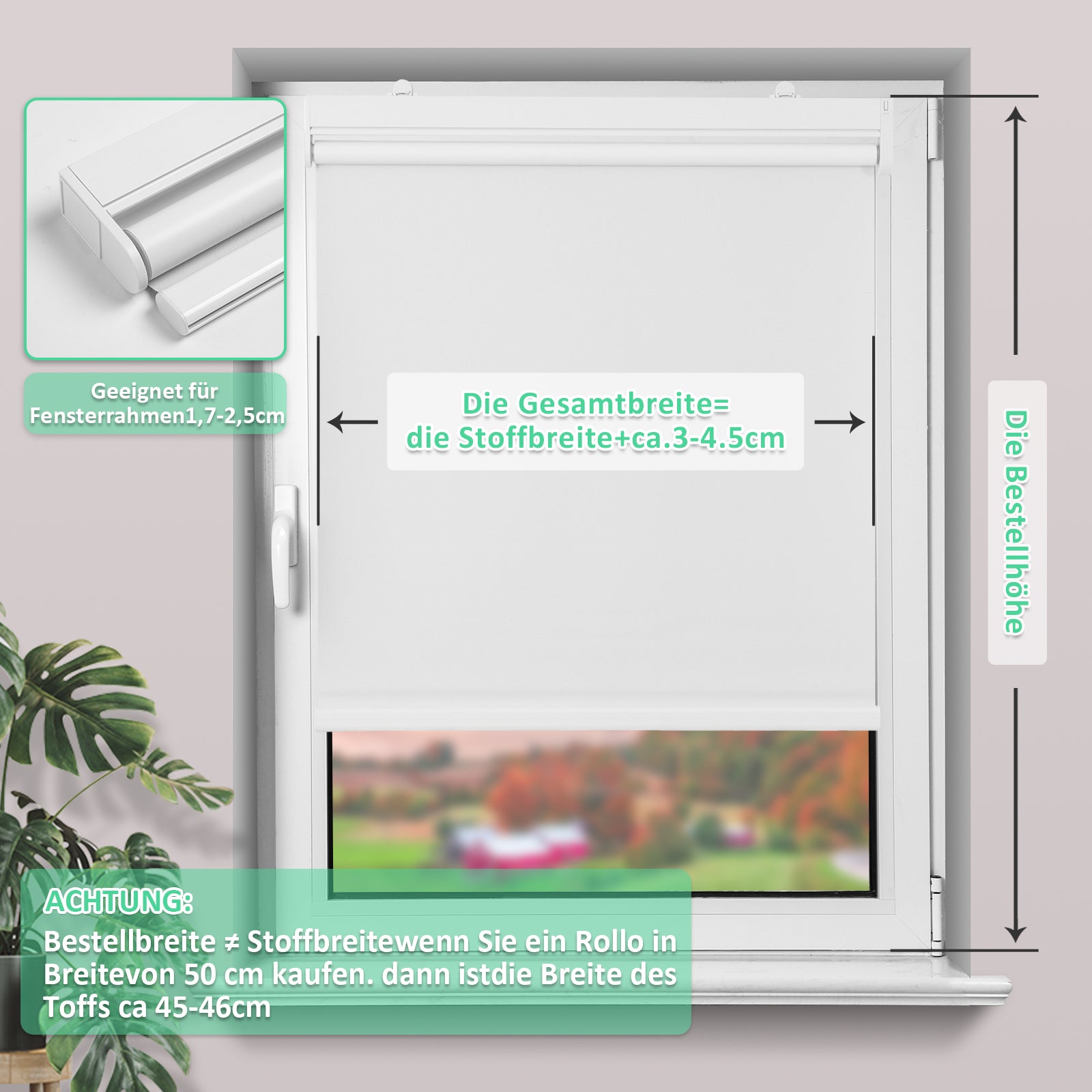 M100 Elektrisch | Lichtdurchlässige | Batterie | Rollo | Nach Maß