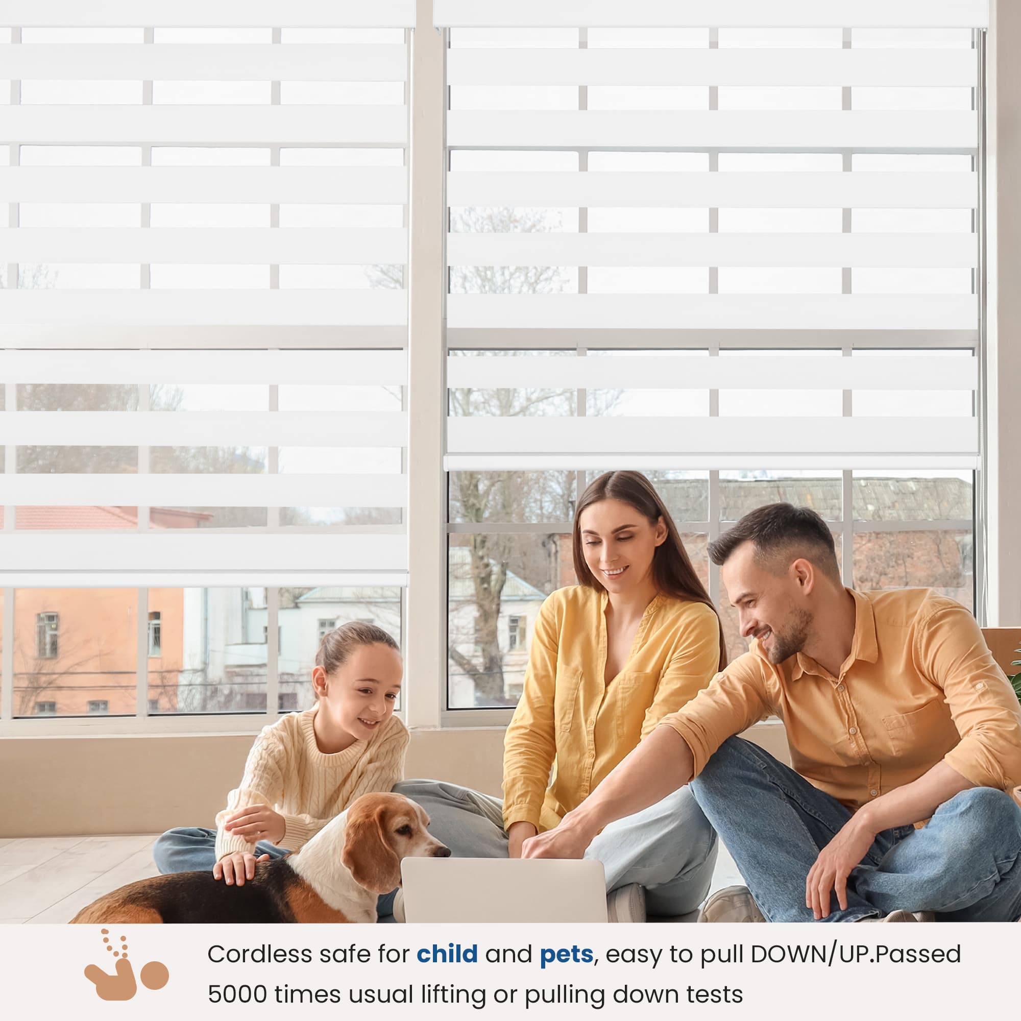 Schnurlos | Lichtdurchlässig | Kassette | Freistopp | Zebra Rollo | Maßanfertigung